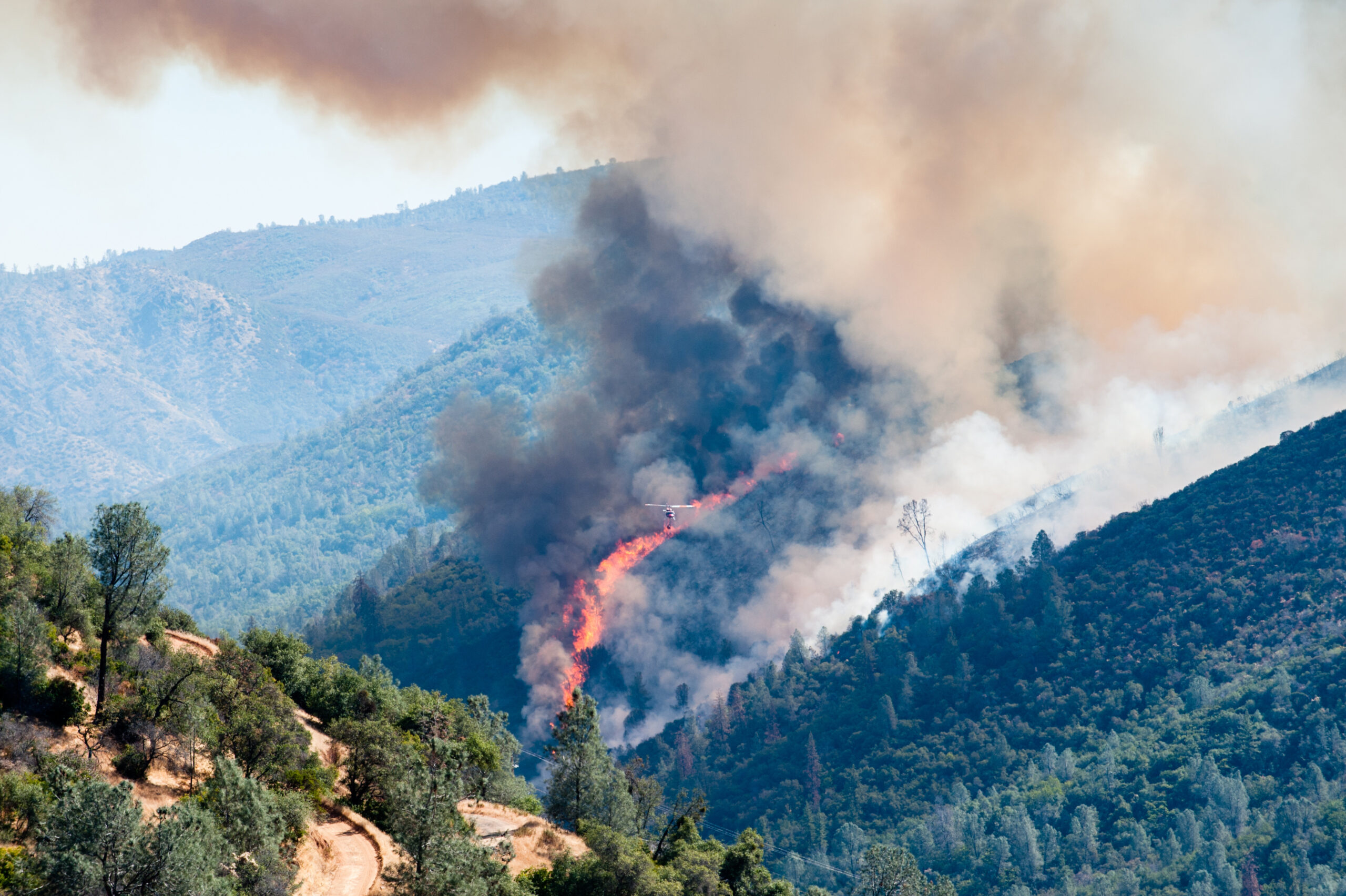 Defensible Space California Fire Safe Council